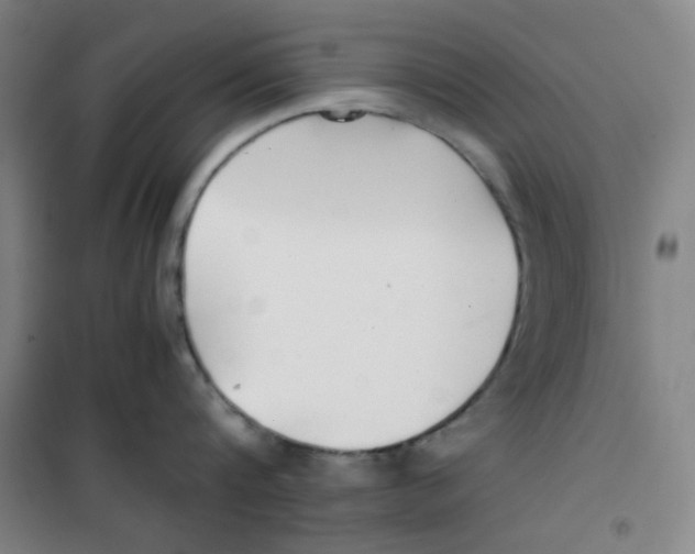 X0000100380816200807031924
