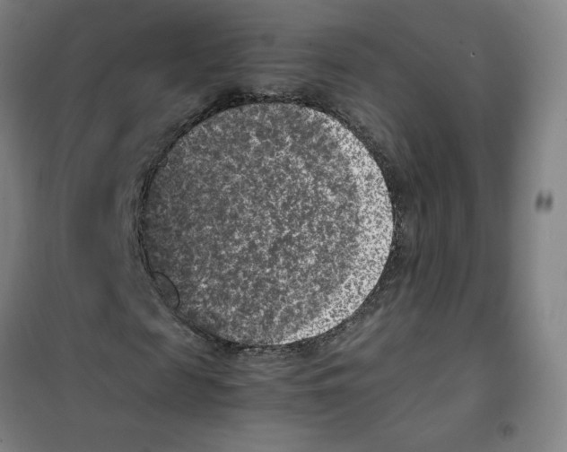 X0000100380817200807031923