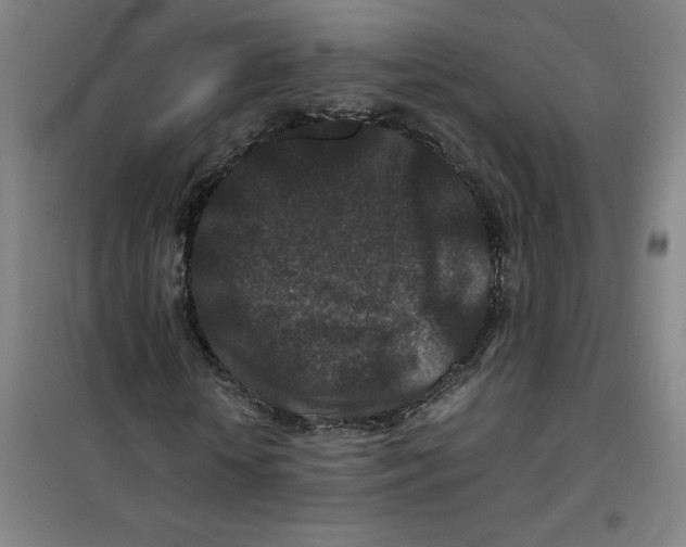 X0000100380818200807031923