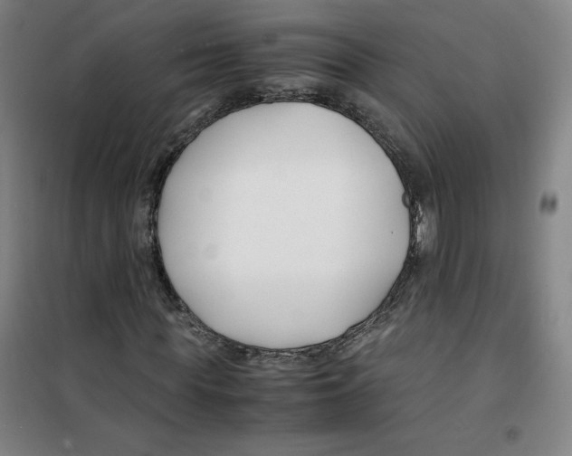 X0000100380819200807031923