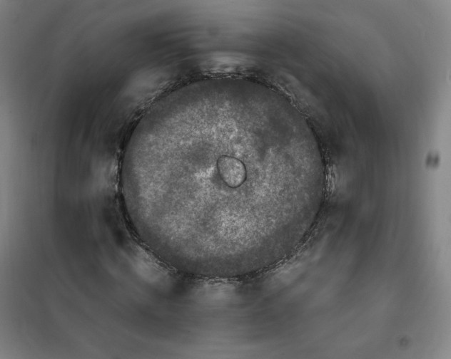 X0000100380820200807031923