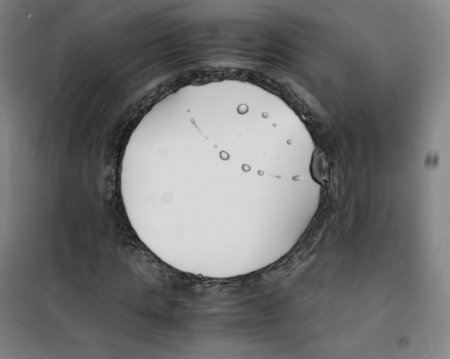 X0000100380821200807031923