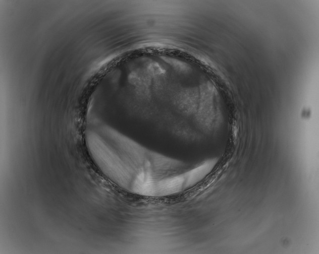 X0000100380822200807031923