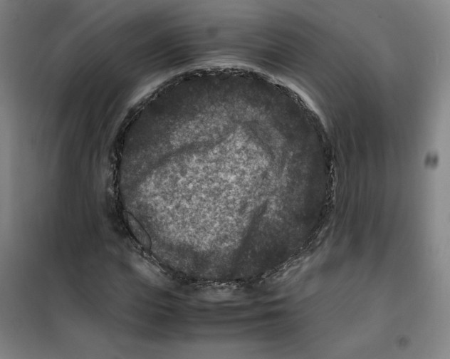 X0000100380823200807031923