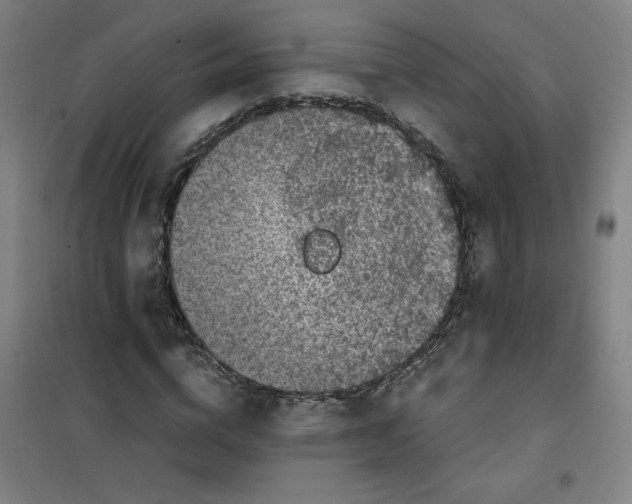 X0000100380824200807031923