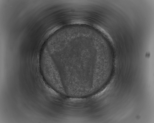 X0000100380825200807031923