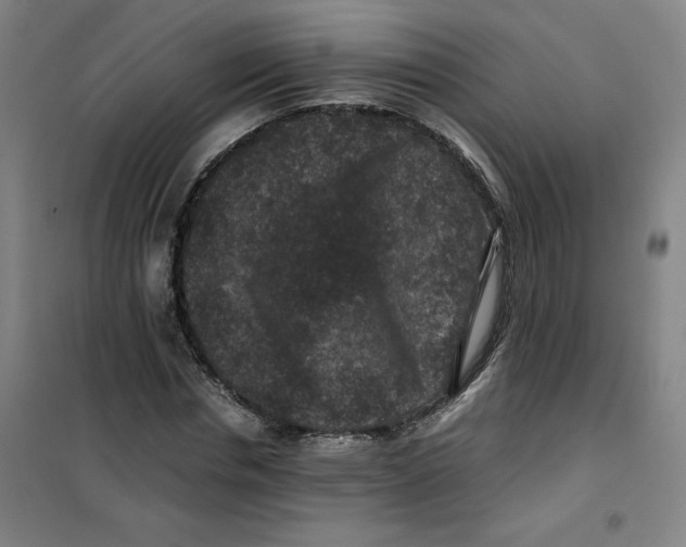 X0000100380826200807031923