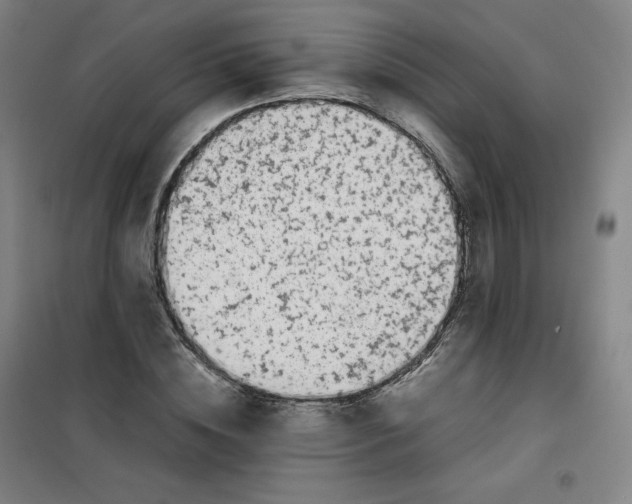 X0000100380828200807031923