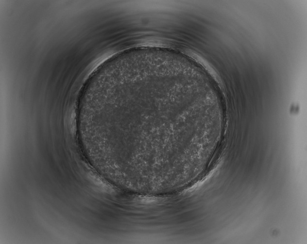 X0000100380829200807031923