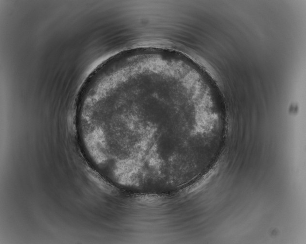 X0000100380830200807031923
