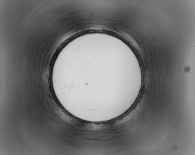 X0000100380831200807031923