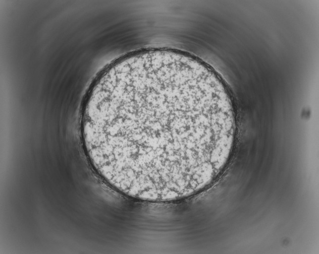 X0000100380832200807031923