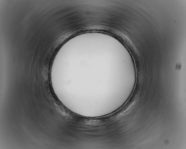 X0000100380833200807031923
