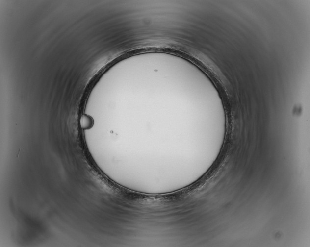 X0000100380834200807031923