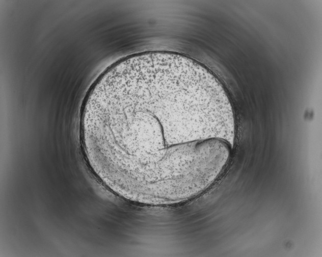 X0000100380836200807031923