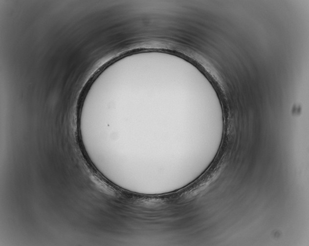 X0000100380837200807031923