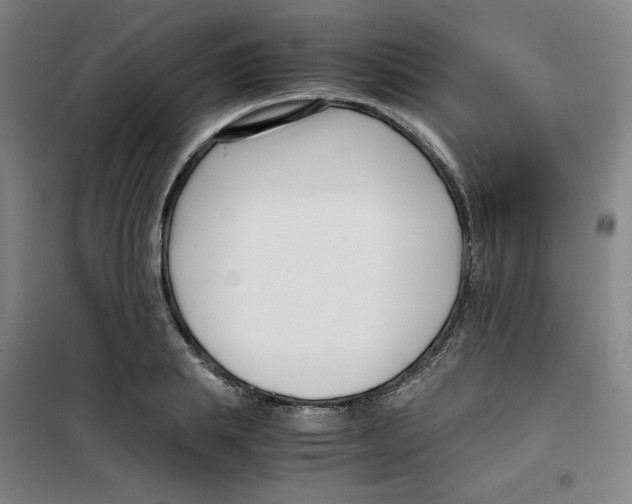 X0000100380839200807031923