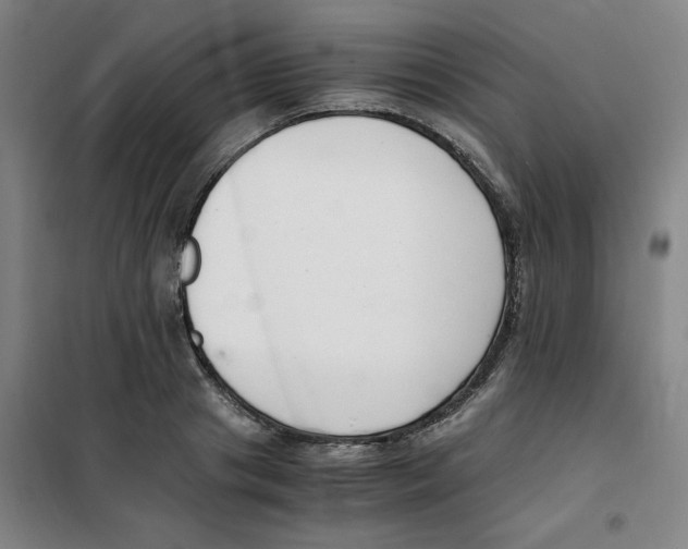 X0000100380841200807031923