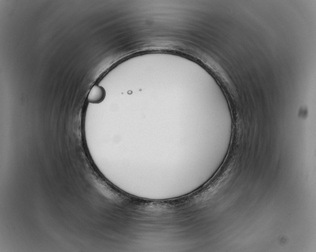X0000100380842200807031923