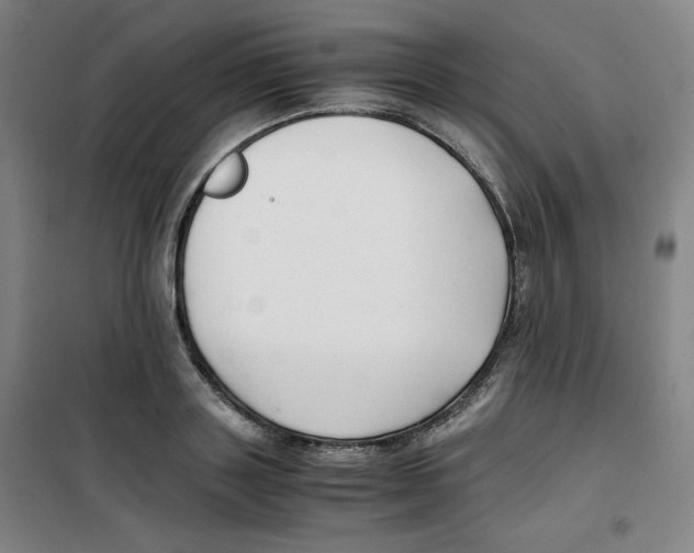 X0000100380843200807031923
