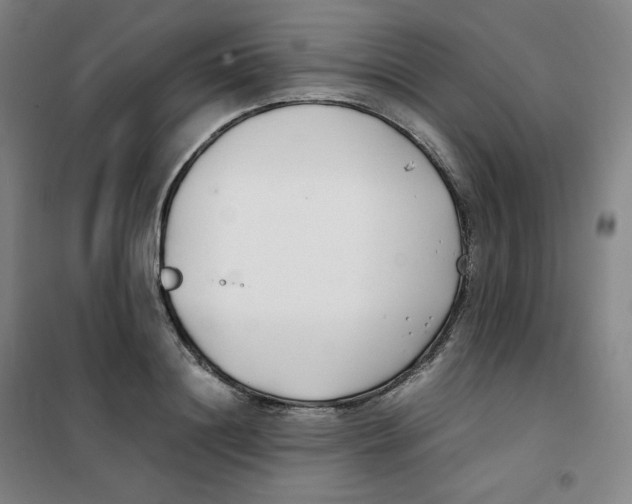 X0000100380844200807031923