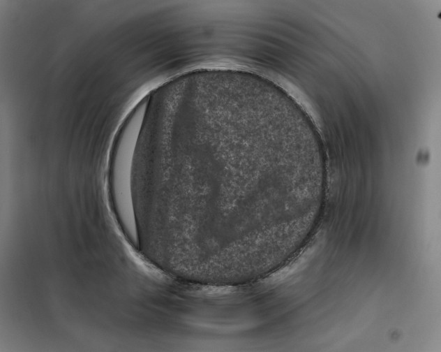 X0000100380845200807031923