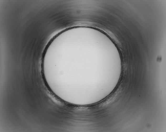X0000100380846200807031923