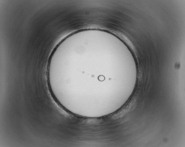 X0000100380847200807031923
