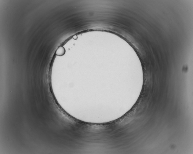 X0000100380848200807031923