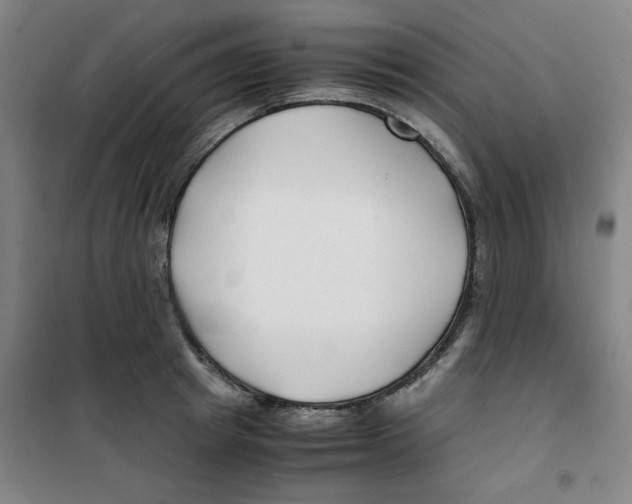 X0000100380849200807031923