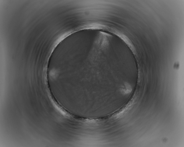 X0000100380850200807031923