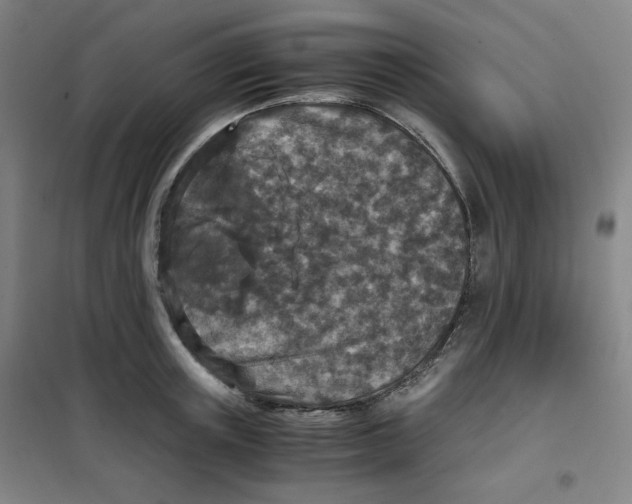 X0000100380851200807031923