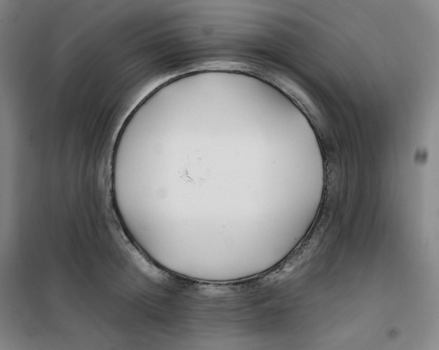 X0000100380852200807031923