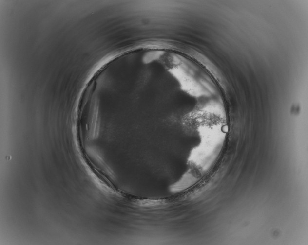 X0000100380853200807031923
