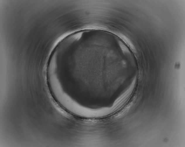 X0000100380854200807031923