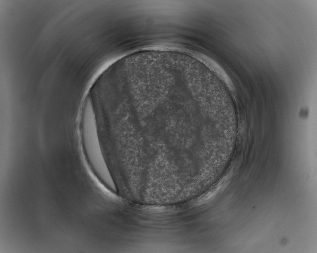 X0000100380855200807031923