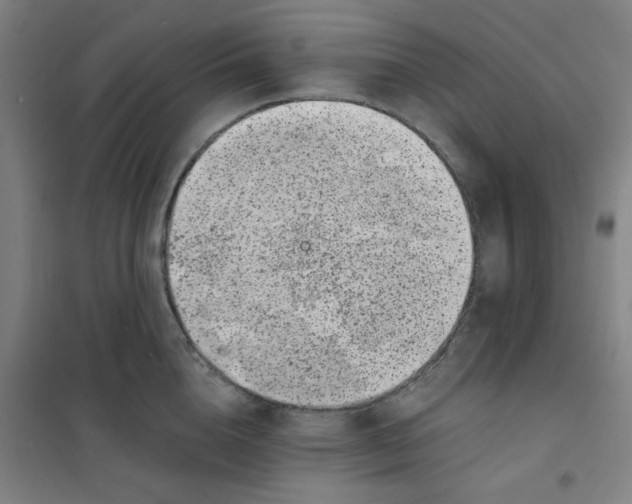 X0000100380856200807031923