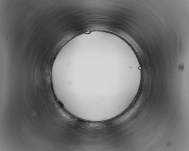 X0000100380857200807031923