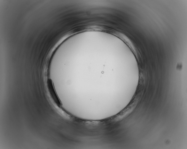 X0000100380859200807031923