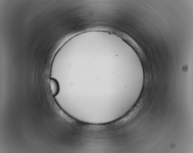 X0000100380860200807031923
