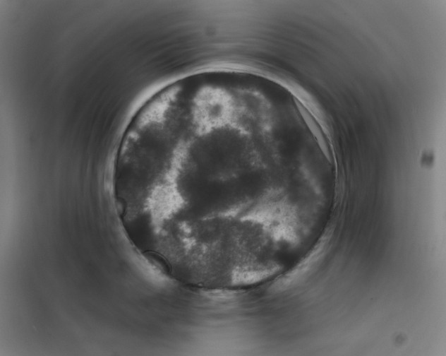 X0000100380862200807031923