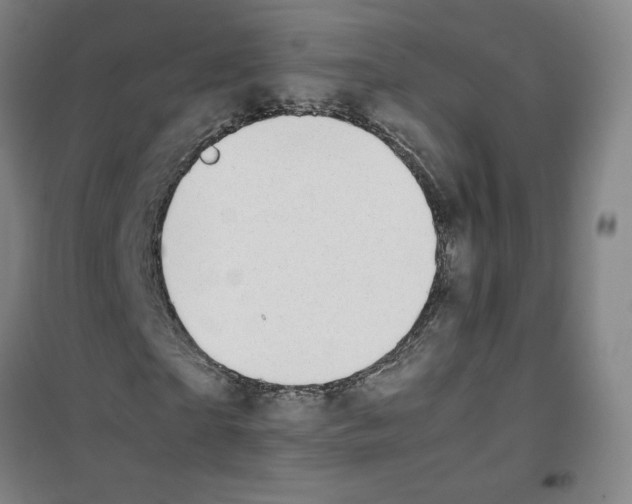 X0000100380865200807031923