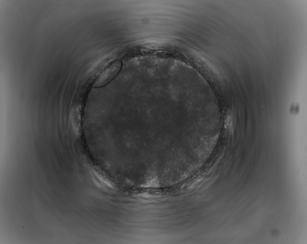 X0000100380868200807031923