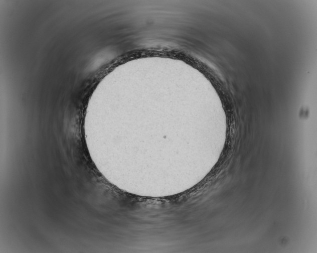 X0000100380869200807031923