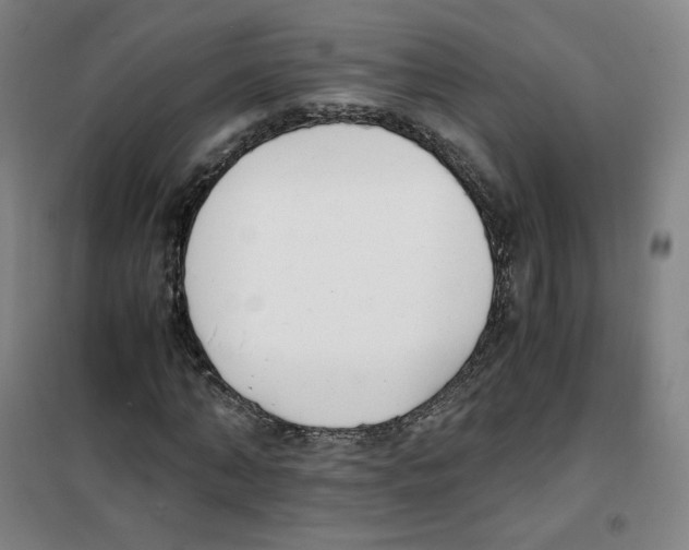 X0000100380870200807031923