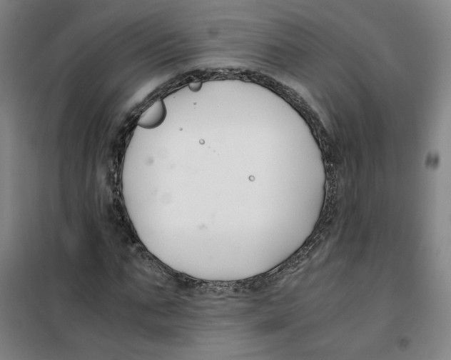 X0000100380871200807031923