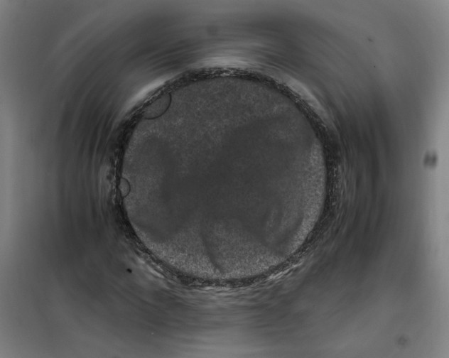 X0000100380872200807031923