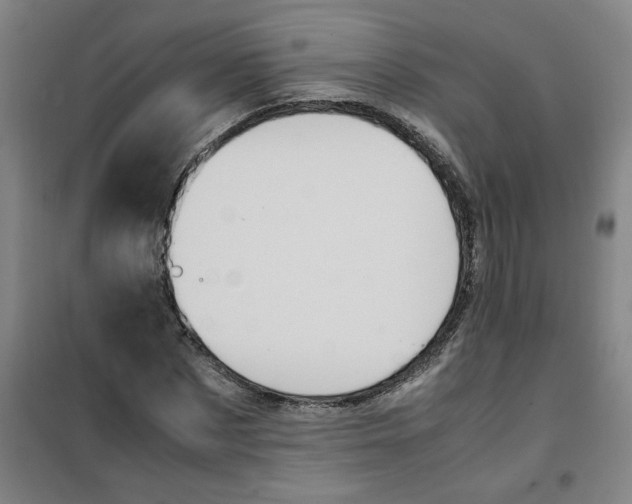 X0000100380873200807031923