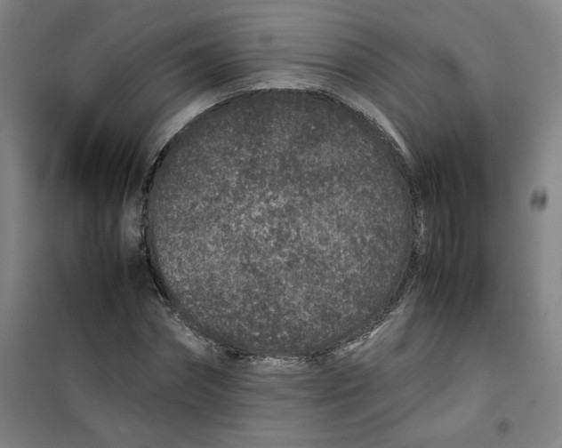 X0000100380874200807031923