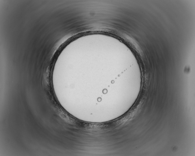X0000100380875200807031923